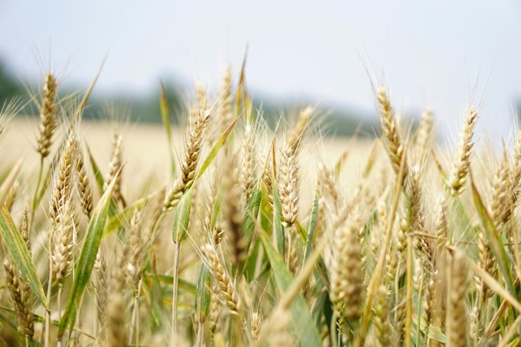 Agricultura es Poder